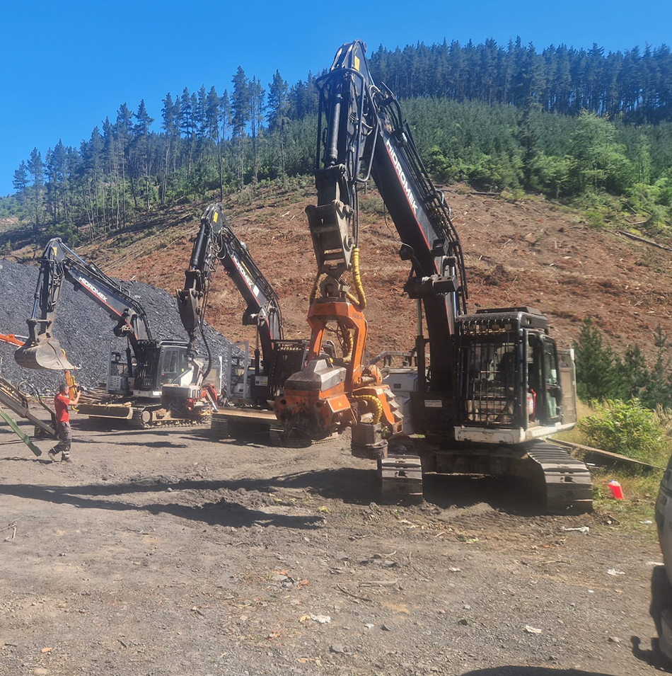 GESTIÓN FORESTAL DEL NORTE S.L.