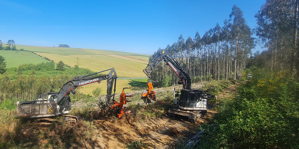 GESTIÓN FORESTAL DEL NORTE S.L.