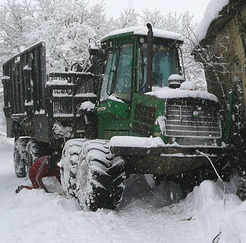 GESTIÓN FORESTAL DEL NORTE S.L.