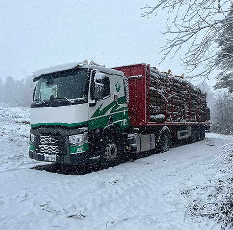 GESTIÓN FORESTAL DEL NORTE S.L.