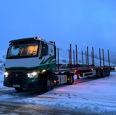 GESTIÓN FORESTAL DEL NORTE S.L.