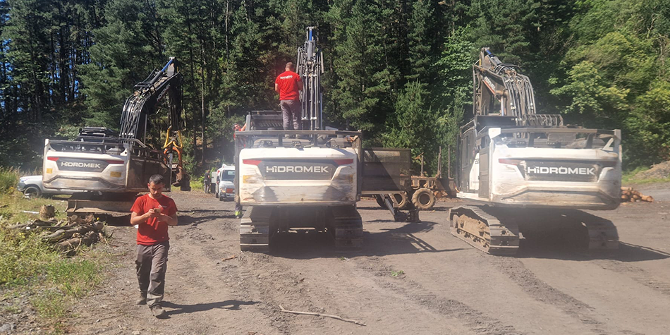 GESTIÓN FORESTAL DEL NORTE S.L.