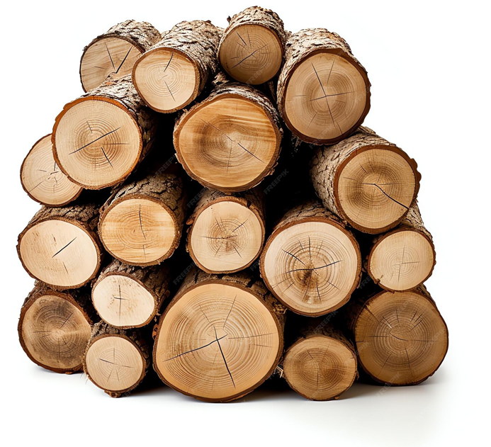 GESTIÓN FORESTAL NORTE